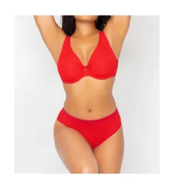 Curvy Couture Sheer Mesh Plunge Push Up Underwire Bra 1310 -Pour Moi Bikinis Shop curvy couture cuco01 1310 cs4