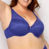 Curvy Couture Sheer Mesh Plunge Push Up Underwire Bra 1310 -Pour Moi Bikinis Shop curvy couture cuco01 1310 gs