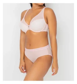 Curvy Couture Sheer Mesh High Cut Brief Panty 1313 -Pour Moi Bikinis Shop curvy couture cuco01 1313 cs5