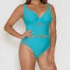 Curvy Kate Sheer Class Plunge One Piece Swimsuit CS1605 -Pour Moi Bikinis Shop curvy kate cuka01 cs1605 gs