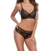 Dreamgirl Sheer Stripe Bra And Panty Set 11863 -Pour Moi Bikinis Shop dreamgirl dg001 11863 gs