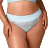 Elila Microfiber & Lace Tanga Panty 3903 -Pour Moi Bikinis Shop elila elil01 3903 gs