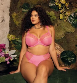 Elomi Matilda Thong Panty EL8907 -Pour Moi Bikinis Shop elomi elom01 el8907 cs1