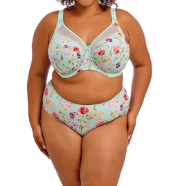 Goddess Kayla Brief Panty GD6168 -Pour Moi Bikinis Shop goddess god01 gd6168 cs5