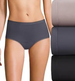 Hanes Comfort Period Light Brief Panty - 3 Pack 40FDL3 -Pour Moi Bikinis Shop hanes hane01 40fdl3 cs5