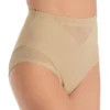 Rhonda Shear Mesh Insert Brief Panty 4010
