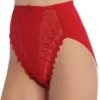 Valmont Embroidered Lace And Satin Hi-Cut Brief Panties 2320